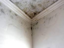 Best Mold Removal for HVAC Installations  in Toppers, OK