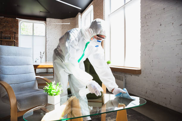 Why You Should Choose Our Mold Remediation Services in Toppers, OK